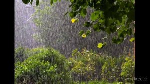 Майские дожди