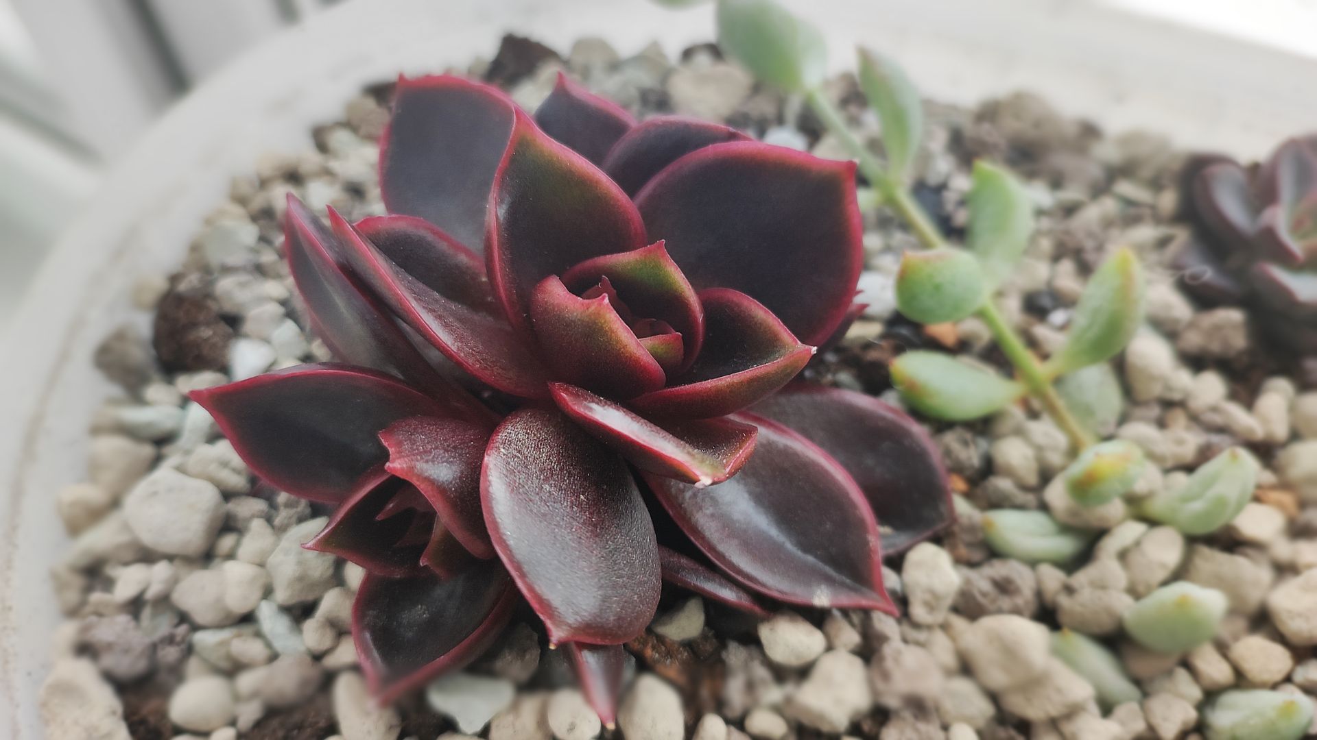 Зимняя распаковка! Пересылка при температуре -5С смотреть онлайн