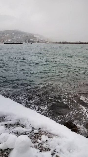 г. Ялта. А снег идёт... Набережная. 17 января 2026 года. смотреть онлайн