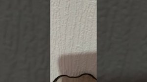 СЮЖЕТ Басик сам готовит себе завтрак😎(смешно)