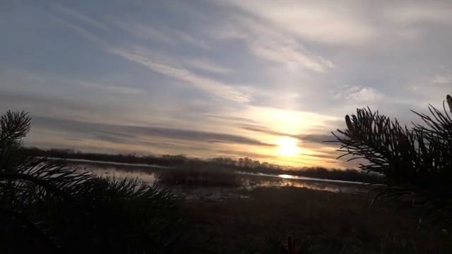 Охота на гуся и утку смотреть онлайн