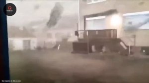 Самые невероятные моменты из жизни природы, снятые на камеру. Видео из интернета.