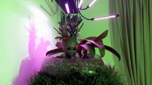 Об особенности моего питания ...