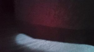 мы в пещере 😺👍 +📹🐈⬜