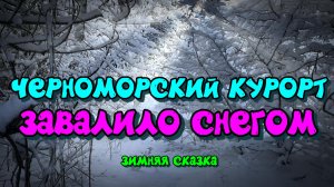 Редкое явление. Как живет Черноморский курорт зимой