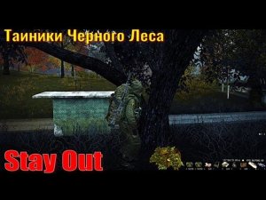 ⭐Stay Out⭐ Тайники Черного Леса .  ЮТУБ НЕ РОБИТ   VK - PLAY .