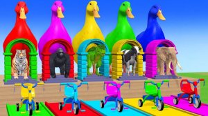 Веселые игры с слоном, гориллой, бегемотом, тигром - 3D игра с животными - Забавные 3D животные