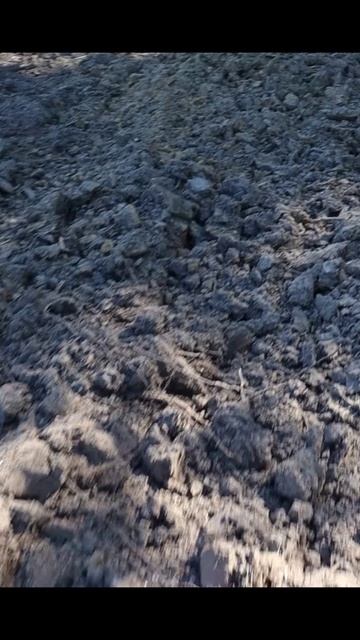 Моя самая большая ошибка о которой я жалею! смотреть онлайн