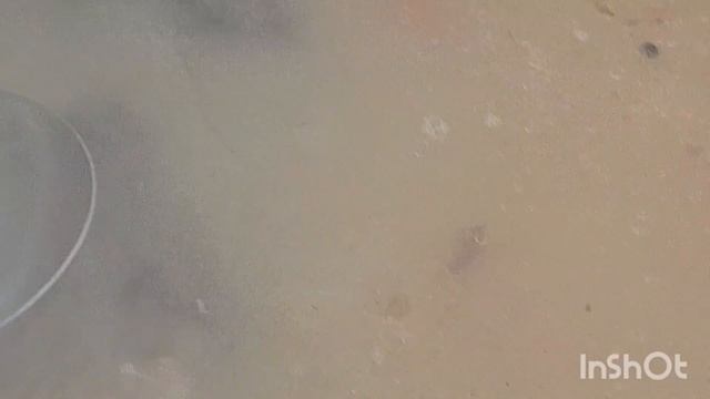 3027.mp4 смотреть онлайн