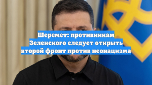 Шеремет: противникам Зеленского следует открыть второй фронт против неонацизма