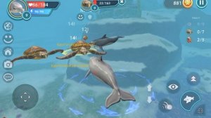 Подводный мир 4 часть🦭