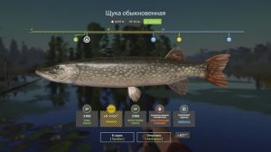 Русская рыбалка 4 Новогодние задания 2026