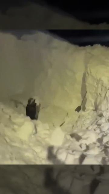 Весь снег России, похоже, на Камчатке: сугробы в регионе достигли высоты четвёртых этажей смотреть онлайн