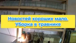 Новостей хороших мало. Уборка в травнике