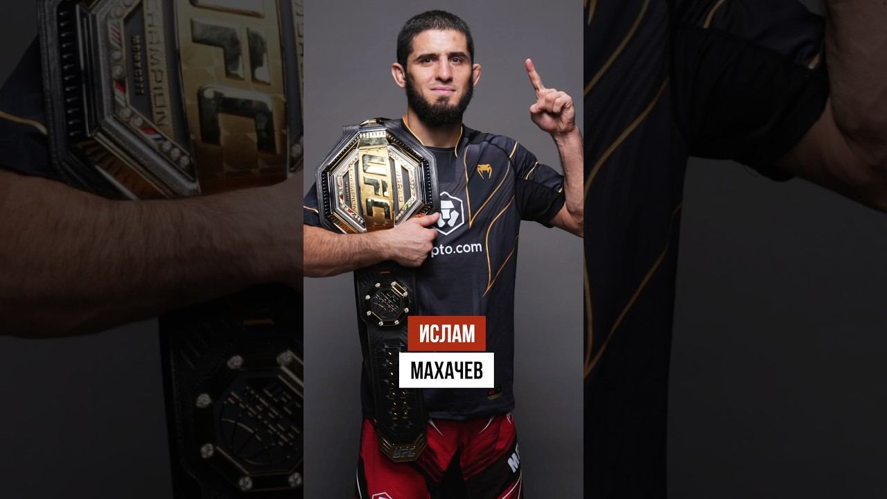 Как без бороды выглядят бойцы UFC смотреть онлайн