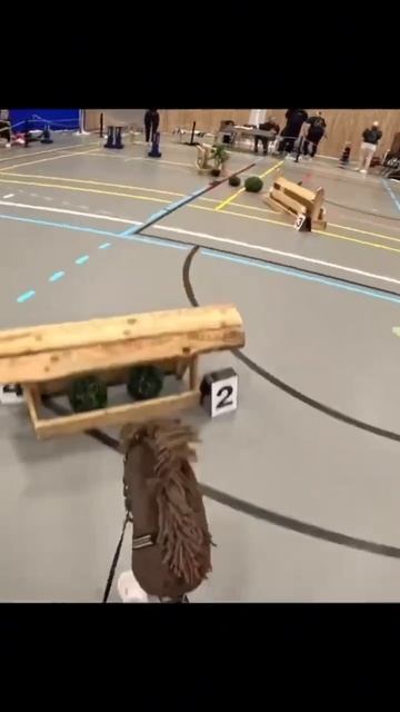 Чемпионат «Термальный Хоббихорсер» пройдёт на #PoolM 2026 ВДНХ Москва смотреть онлайн