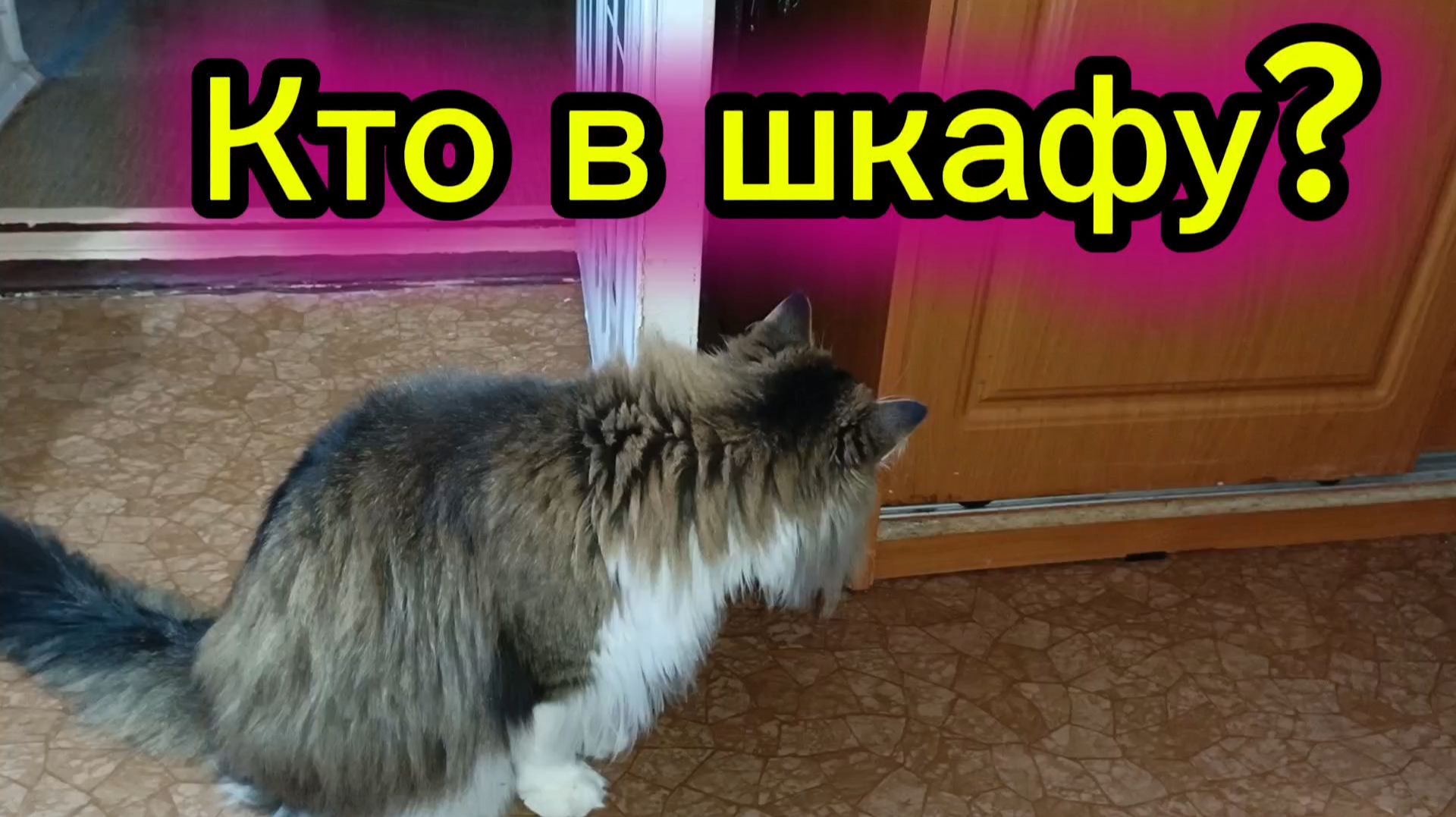 Забавные котики . смотреть онлайн