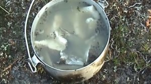 ПОБЕГ (Комаров и Валиулин)