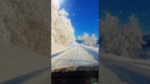 А ты ведь мог Любовь не предавать