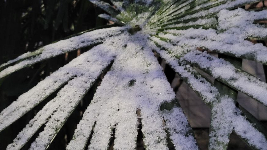 Погода в Адлере. 17 января 2026. смотреть онлайн