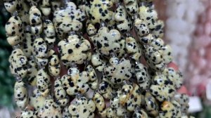 Натуральные камни