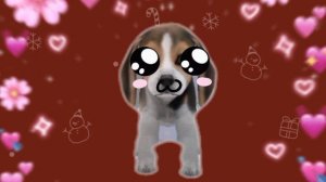 милашка(0ω0)