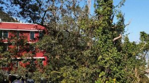 Фуникулёр на пике Виктория в Гонконге (часть 2)