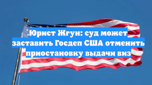 Юрист Жгун: суд может заставить Госдеп США отменить приостановку выдачи виз