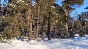 Прогулка в сказку.