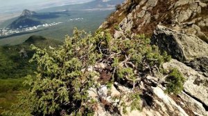 С  БЕШТАУ  НА  ХРАМ  СОЛНЦА  2025г. #бештау #пятигорск #кмв #кавказ