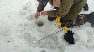 video5429441319070107465