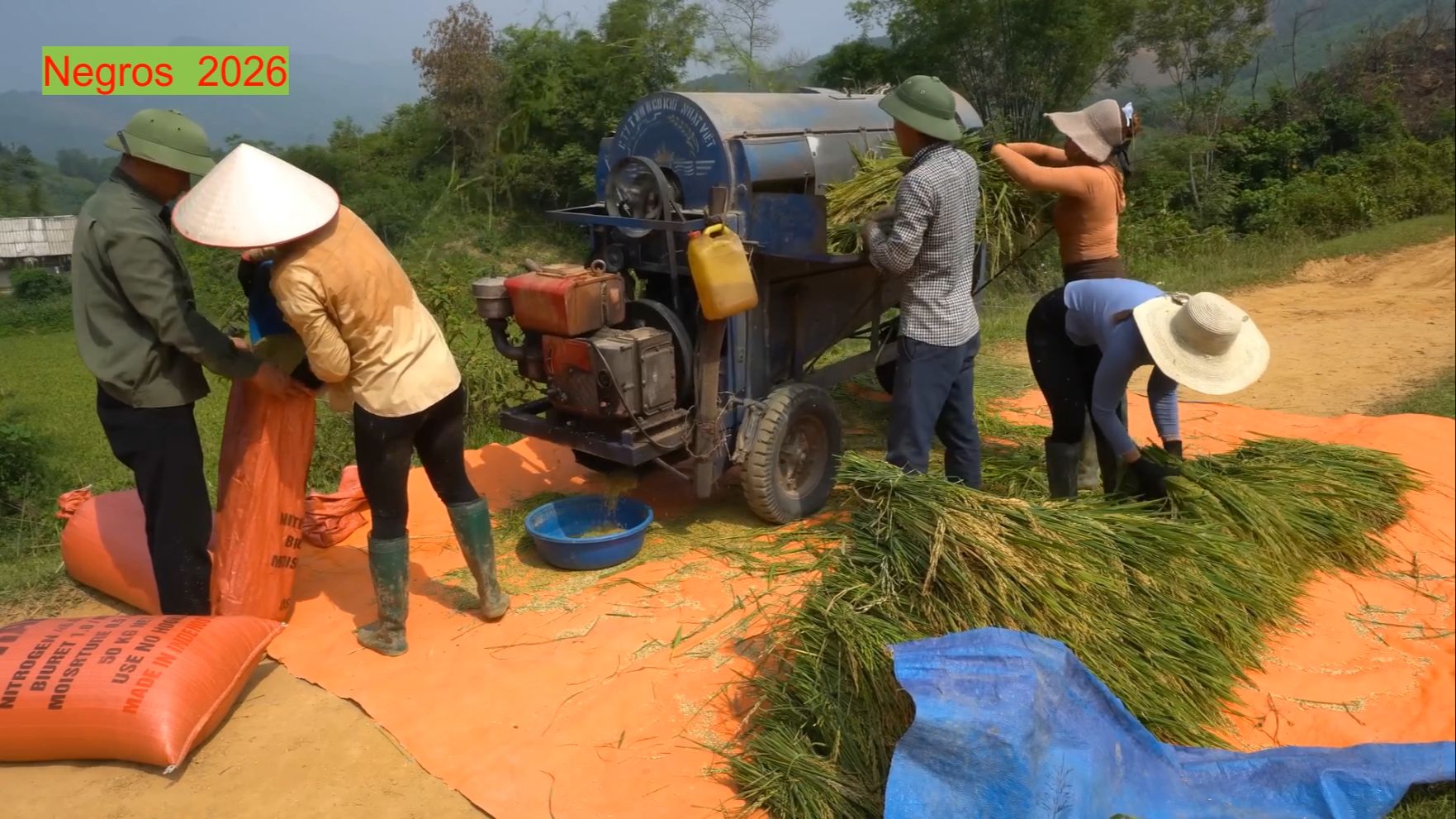 Дорис 58. Дорис собирает рис и сушит его на навесе около дома. смотреть онлайн
