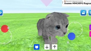 .... ВНУТРИ КОТА НИЧЕГО ПРИКИНЬТЕ????