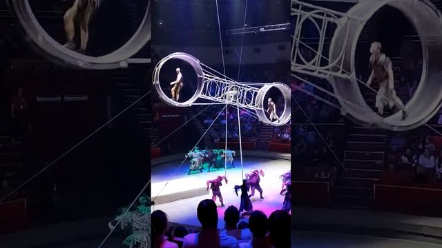 Колесо фортуны и Трюки на нем.  Аскольд Запашный смотреть онлайн