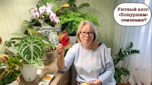 Уютный влог: «Пошуршим» семенами?