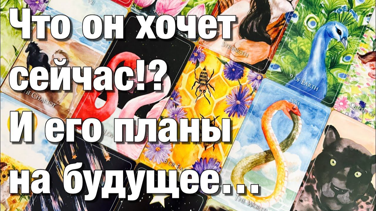 ТАРО РАСКЛАД❤️ЧТО ОН НА САМОМ ДЕЛЕ ХОЧЕТ⚡️КАКИХ ОТНОШЕНИЙ 💫ЧТО ЖДЁТ ОТ ВАС🫶🏻ЕГО ПЛАНЫ смотреть онлайн