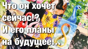 ТАРО РАСКЛАД❤️ЧТО ОН НА САМОМ ДЕЛЕ ХОЧЕТ⚡️КАКИХ ОТНОШЕНИЙ 💫ЧТО ЖДЁТ ОТ ВАС🫶🏻ЕГО ПЛАНЫ