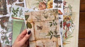 Покупки в магазинах Paper Home и  AgiArt. Скрапбукинг.