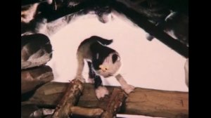 Анонс мультфильма "Приключения домовёнка" без логотипа (2х2, 17.01.2026)