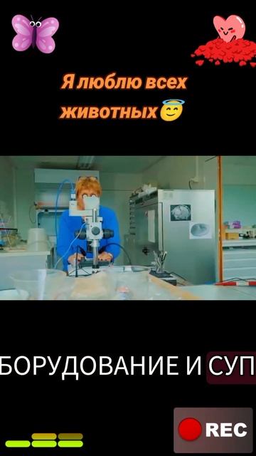 Я люблю всех животных😇 смотреть онлайн