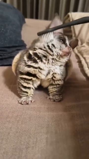 Доброе утро смотреть онлайн