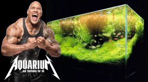 Как перенести действующий 300 литровый аквариум в ручную! КАЧАЕМ БИЦУХУ!