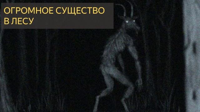 Огромное существо в лесу (Мистическая история, поход, военные) смотреть онлайн