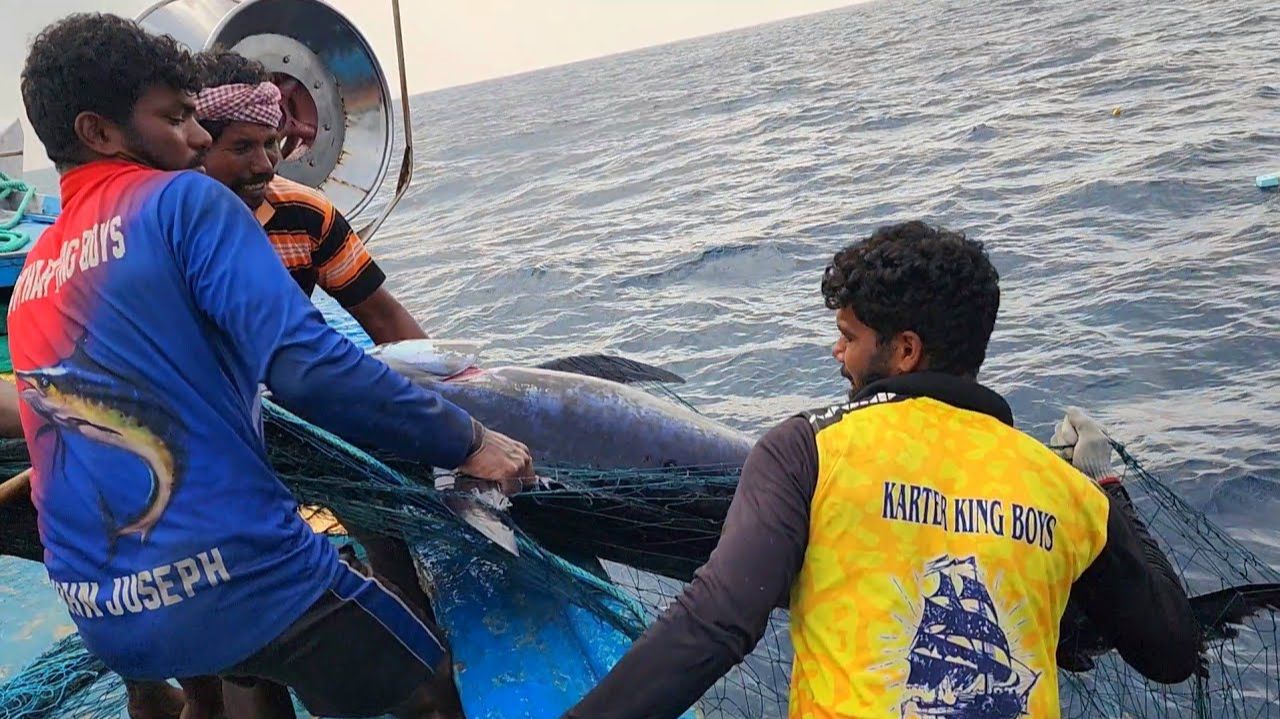 На восьмой день в море мы поймали очень много рыбы. смотреть онлайн