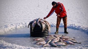 Хитрая зимняя рыбалка при помощи трубы.