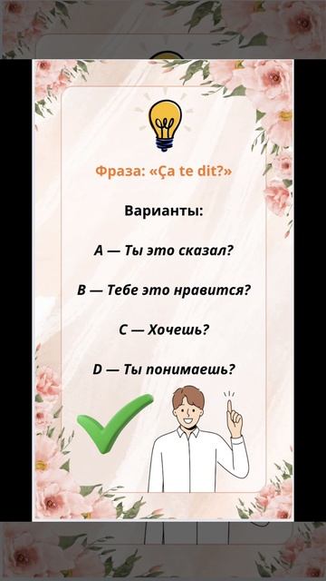 Разговорный французский Ça te dit? смотреть онлайн