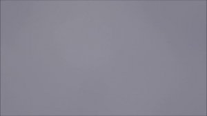 Голуби серпастые 16 и 17. 01. 2026.