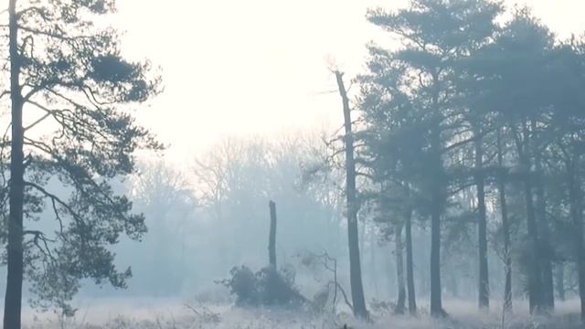 Никогда не делайте это 18 января. Чтобы не навлечь беду на год. смотреть онлайн