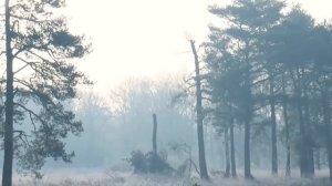 Никогда не делайте это 18 января. Чтобы не навлечь беду на год.