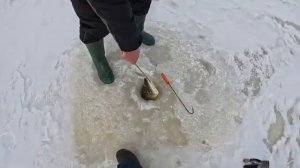 Рыбалка на жерлицы. Всем желаю такую!!! Смотрите сами.